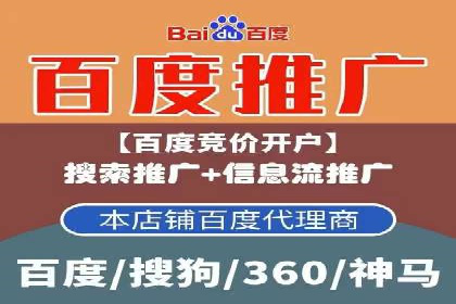 百度推广平台案例剖析：揭秘广告投放策略